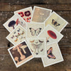Collection of vintage-style cards with illustrations of butterflies and mushrooms on a wooden surface.