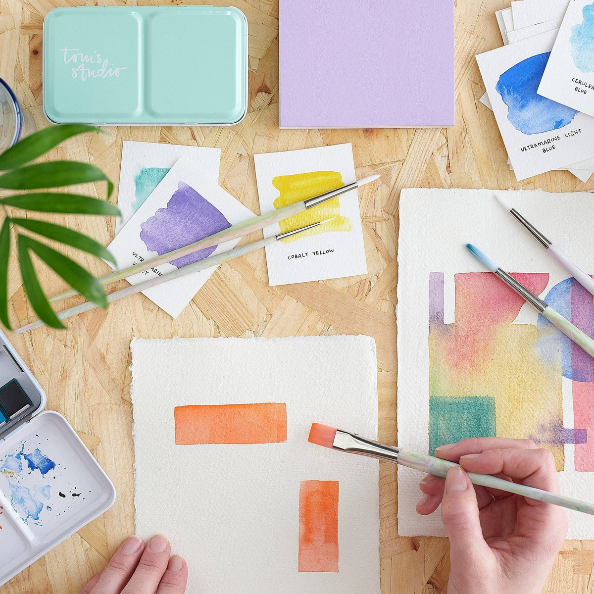 Write Off Paintbrush set – product image 6