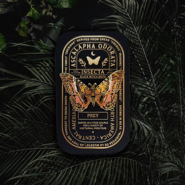 {coming soon!} Black Witch Moth Educational Insect Enamel Pin