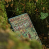 Robin Hood & His Merry Men Book Wallets | Howard Pyle 1883