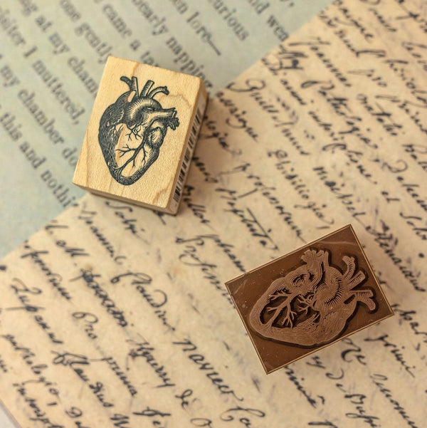 Anatomical Heart Wood-Mounted Rubber Stamp