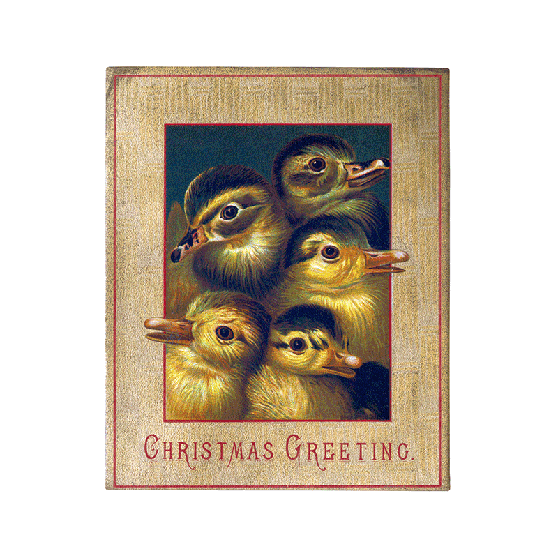 We Wish You a Crazy Christmas Postcard Book