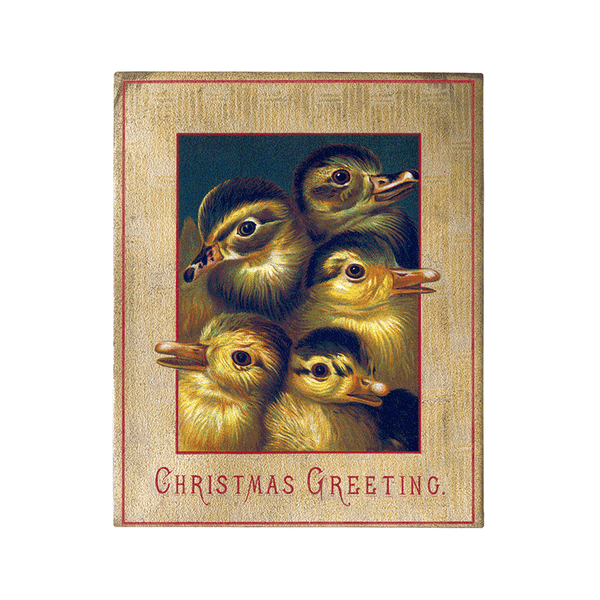 We Wish You a Crazy Christmas Postcard Book
