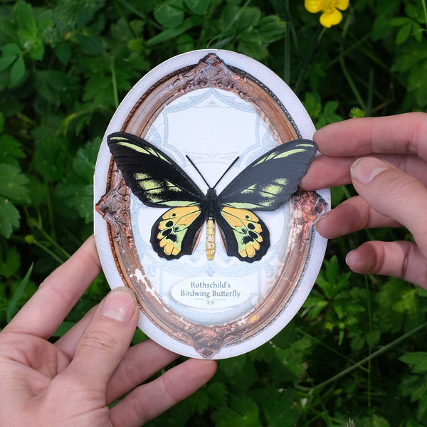 Rothschild's Birdwing Oval Greeting Card