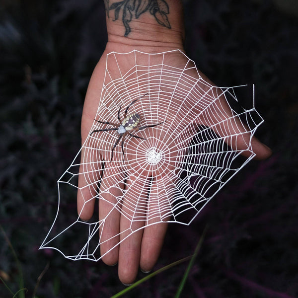 Weaver Spiderweb & Spider Paper Set