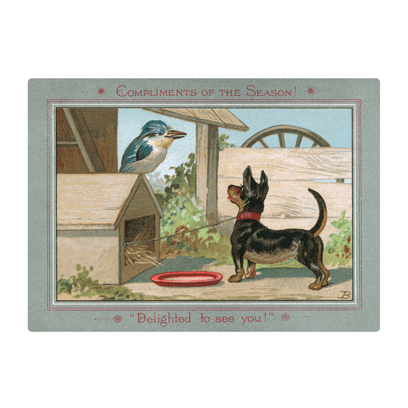 We Wish You a Crazy Christmas Postcard Book