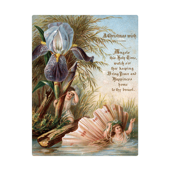 We Wish You a Crazy Christmas Postcard Book