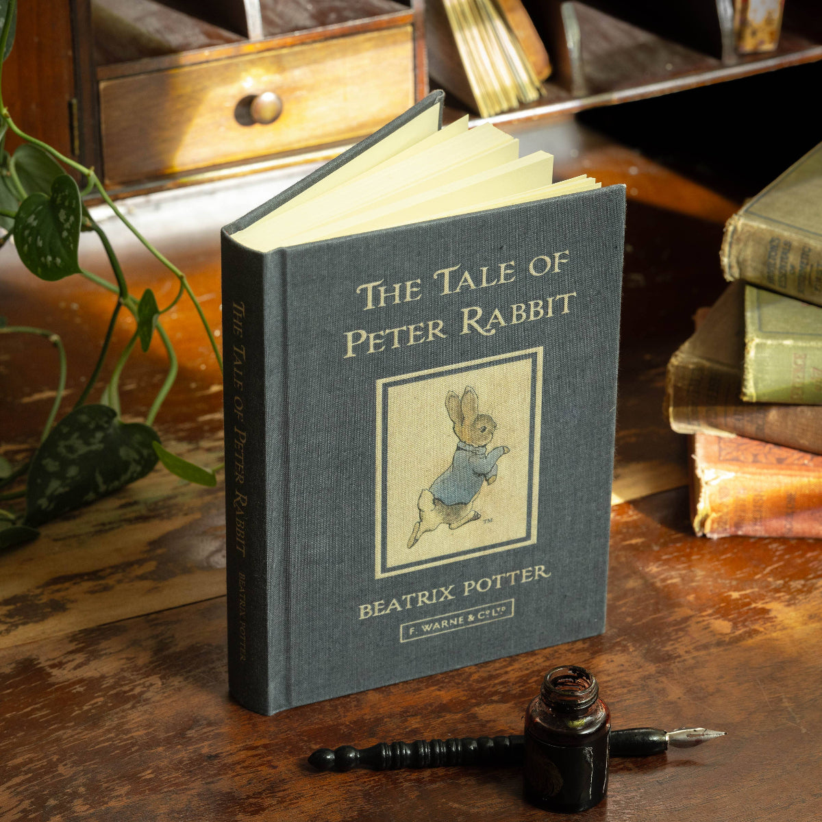 The Tale of Peter Rabbit Book Journal | Beatrix Potter 1902