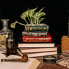 Sherlock Stacked Book Planter