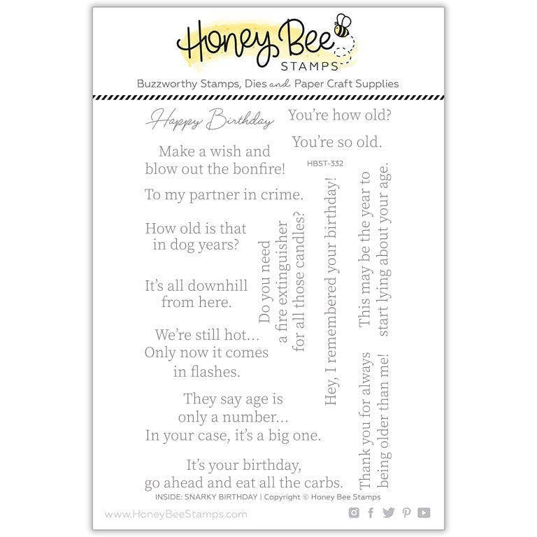 Snarky Birthday Sentiments {Inside} 4x6 Clear Stamp Set