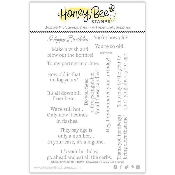 Snarky Birthday Sentiments {Inside} 4x6 Clear Stamp Set