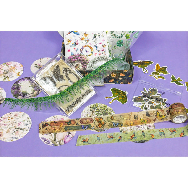 Birds, Foliage & Butterflies Box