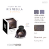 Iris Nebula Fountain Pen Ink