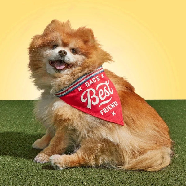 Dad's Best Friend Dog Bandana