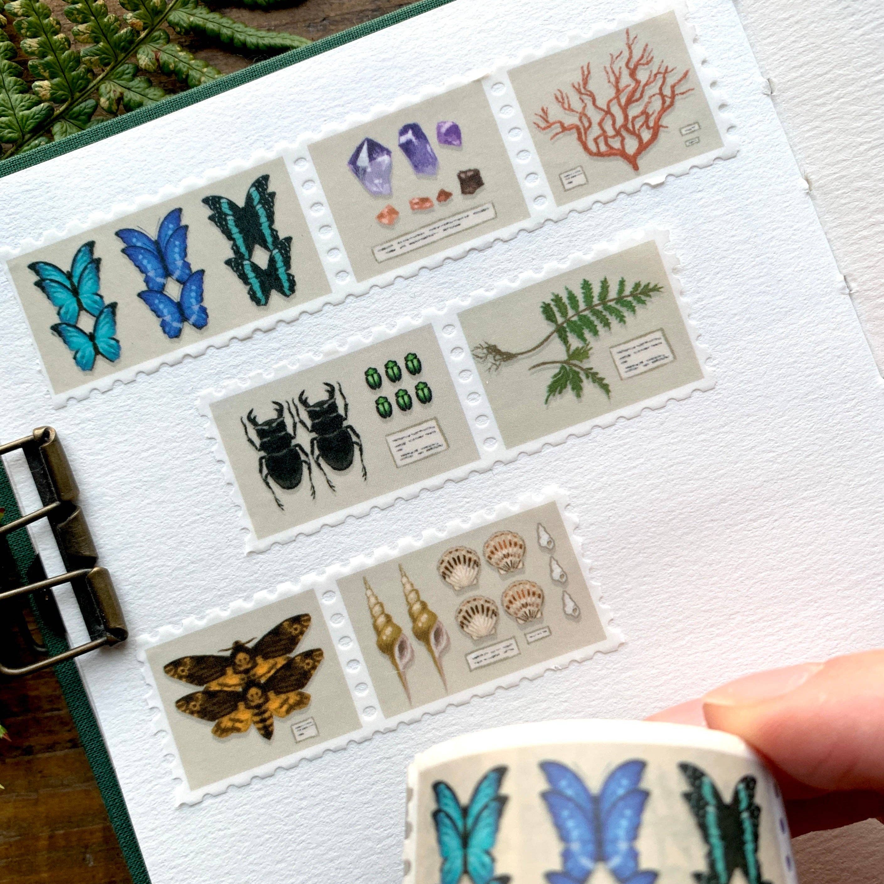 Specimen Drawer Perforated Stamp Washi Tape