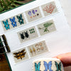 Specimen Drawer Perforated Stamp Washi Tape