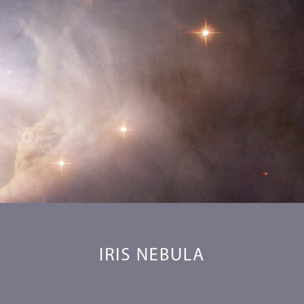 Iris Nebula Fountain Pen Ink