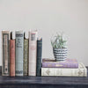 Decorative Book Storage Boxes {multiple styles}