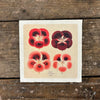 Red Pansies 8x8 Art Print | Flora & Fauna Collection