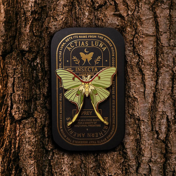 {coming soon!} Luna Moth Educational Insect Enamel Pin