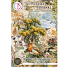The Nature Journal Junk Journal & Ephemera Book A4 32/Pkg