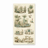 Botanical Garden Sketches Sticker Sheet