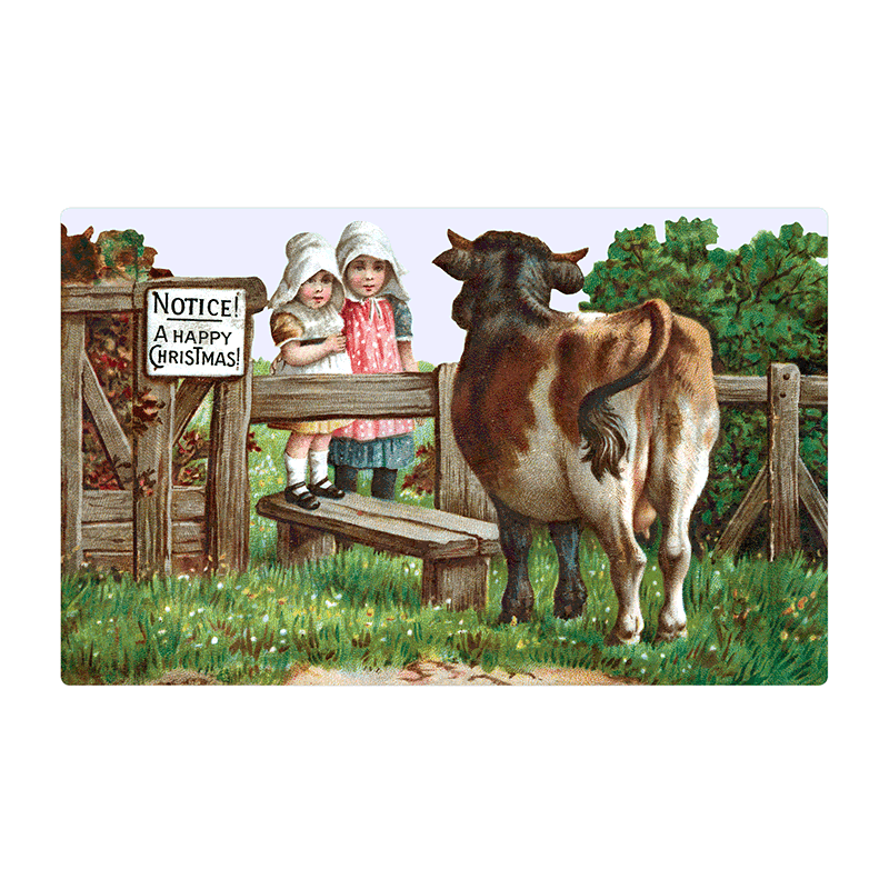 We Wish You a Crazy Christmas Postcard Book