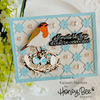 Delicate Daisy A2 Cover Plate Top