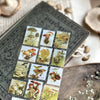 Feuille d’autocollants de timbres de champignons