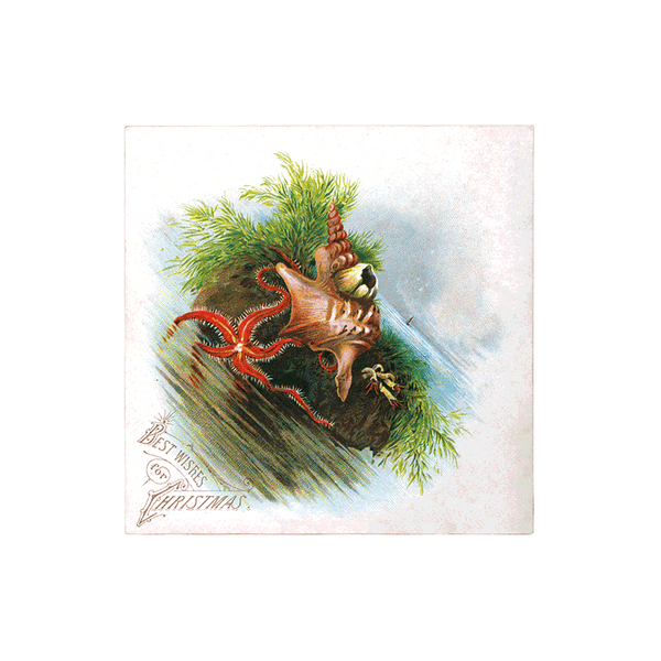 We Wish You a Crazy Christmas Postcard Book