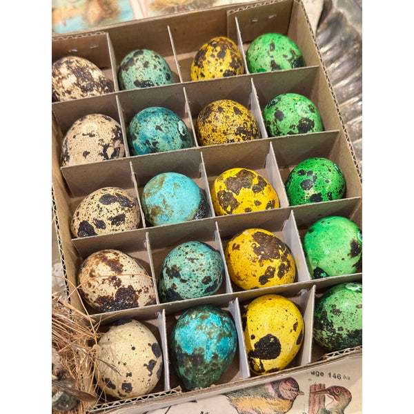 Set of 20 colored Decorative Quail Eggs