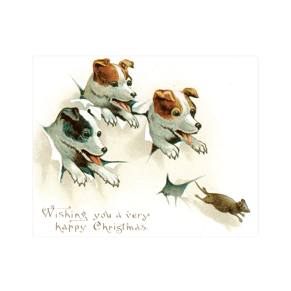 We Wish You a Crazy Christmas Postcard Book