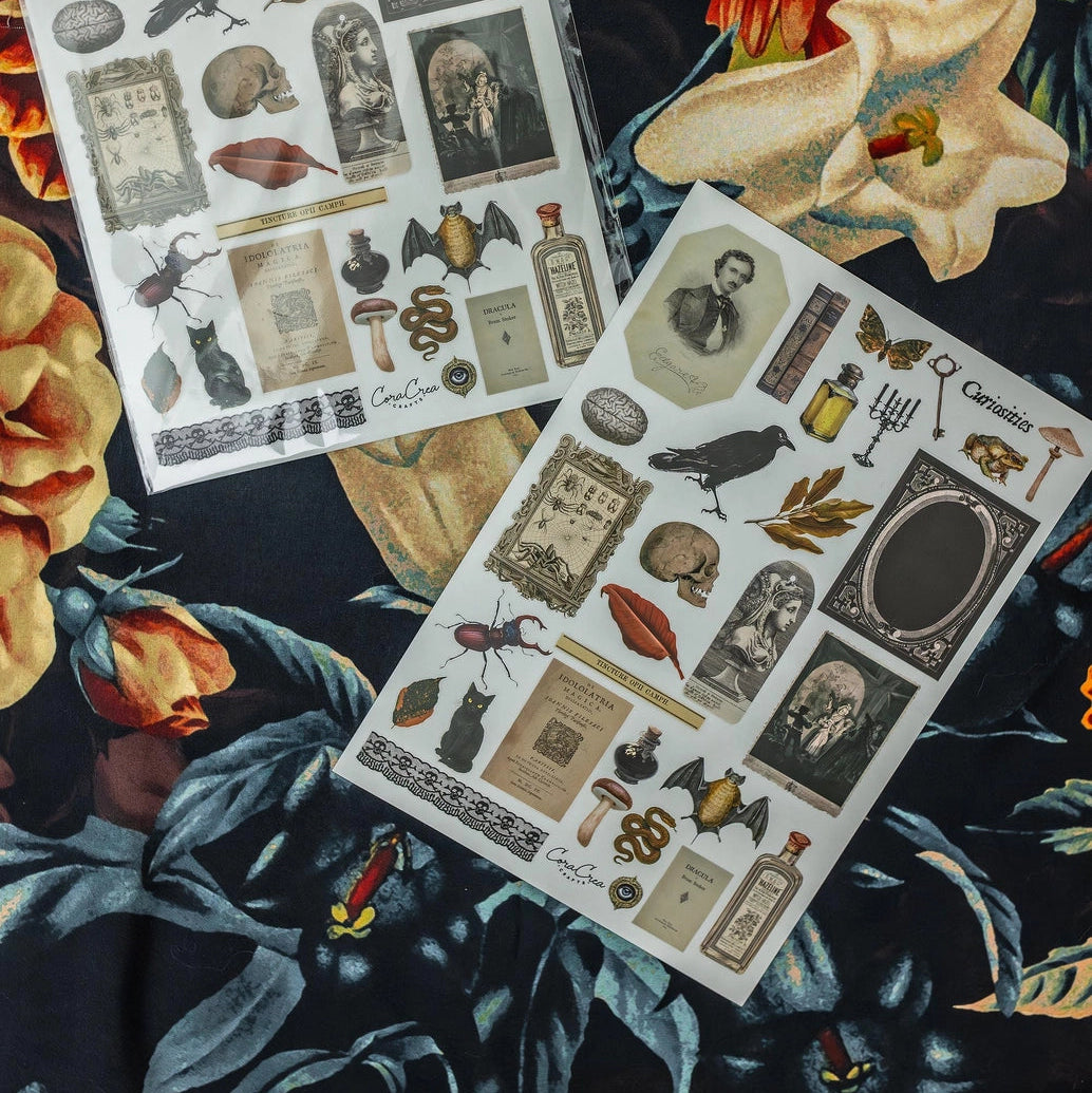 Curiosities A5 Clear Sticker Sheet