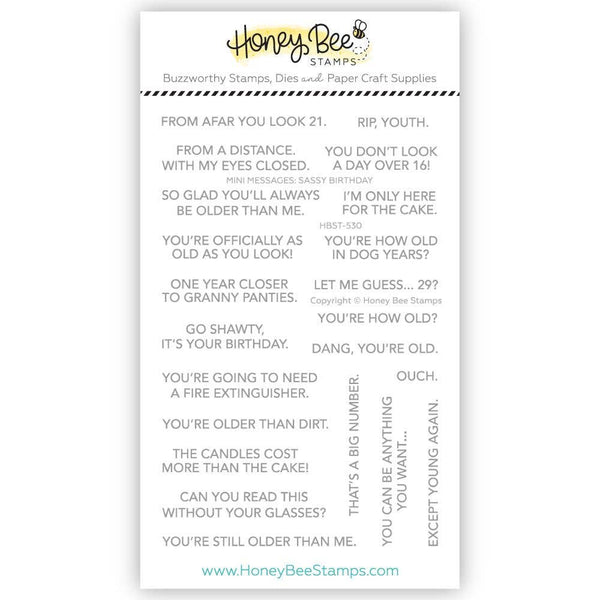 Sassy Birthday Sentiments 4x6 Clear Stamp Set