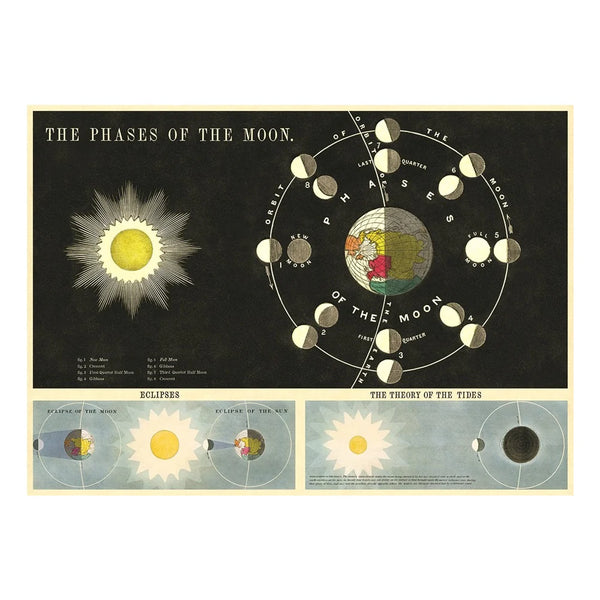 Phases of the Moon 20x28 Wrap Sheet/Art Print