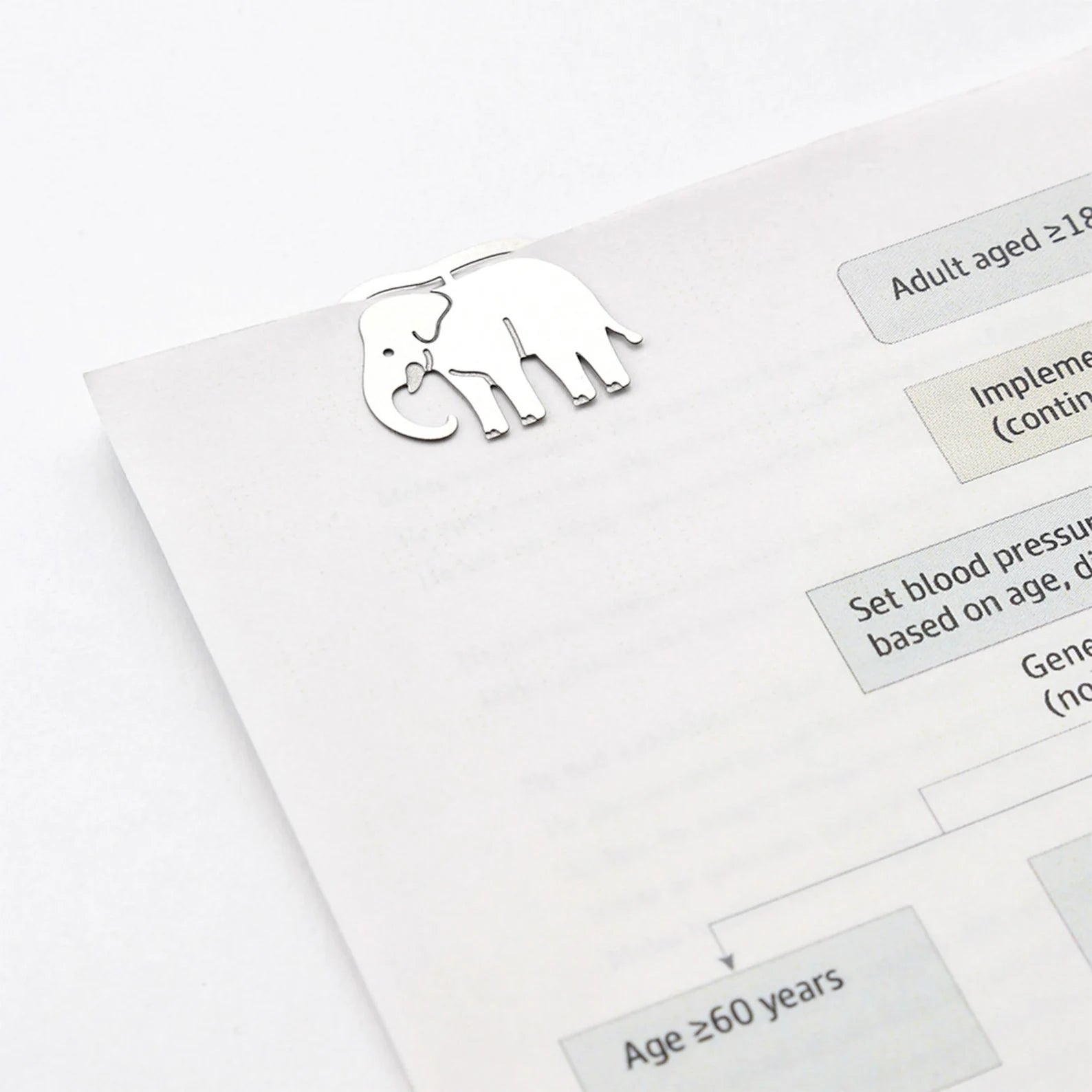 Zoo Motif Etched Steel Flat Paper Clips | Midori E-Clips