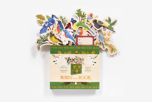 Birds in a Book | Uplifting Editions