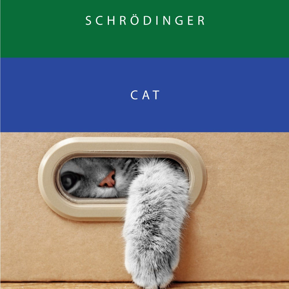 Schrodinger & Cat {S3 #21/22} Fountain Pen Ink