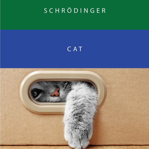 Schrodinger & Cat {S3 #21/22} Fountain Pen Ink