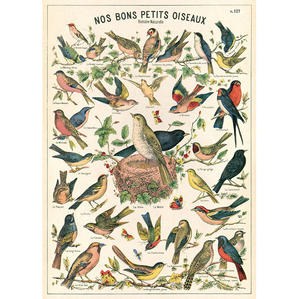 Bird Chart 20x28 Wrap Sheet/Art Print