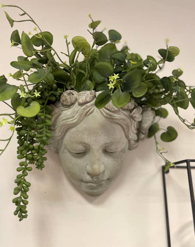 Cement Wall Planter