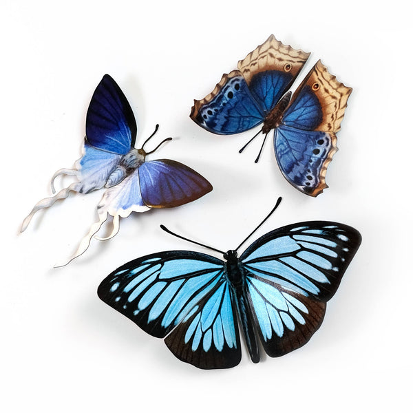Lupine 3-Piece Set Butterfly Set