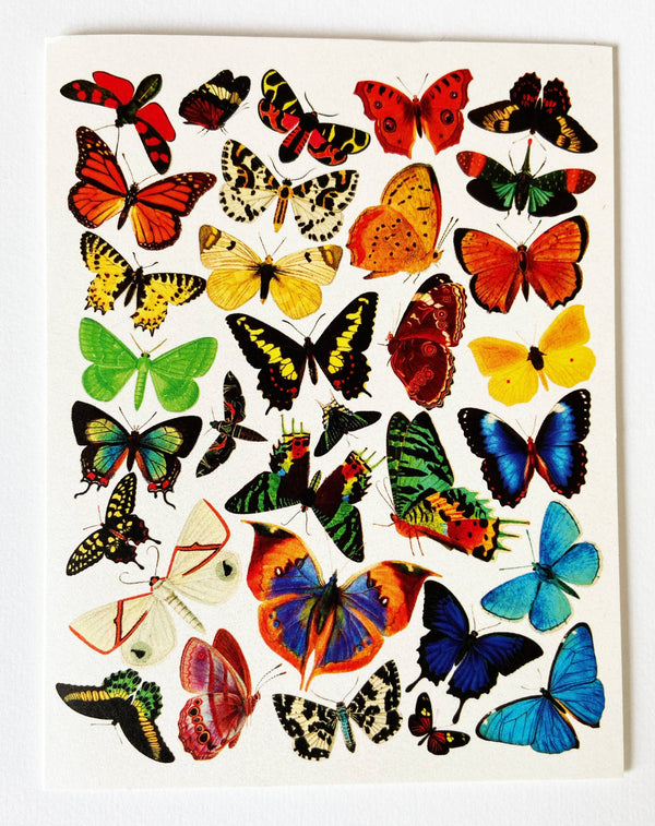 Ensemble de cartes papillon Art Nouveau | Lot de 8