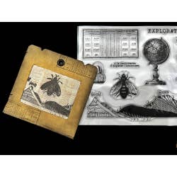 Exploration | Clear Stamps
