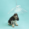 Parapluie pour chien à dôme transparent avec laisse et support pour sac à déchets 