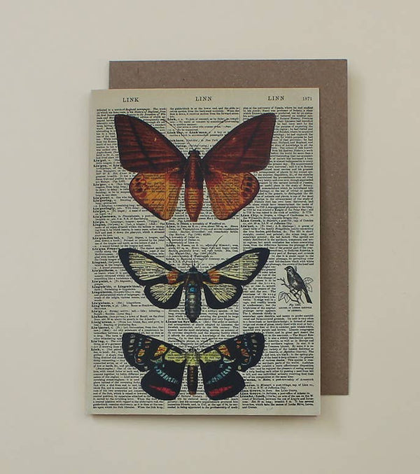 Carte d’art du dictionnaire des papillons - WAC20515