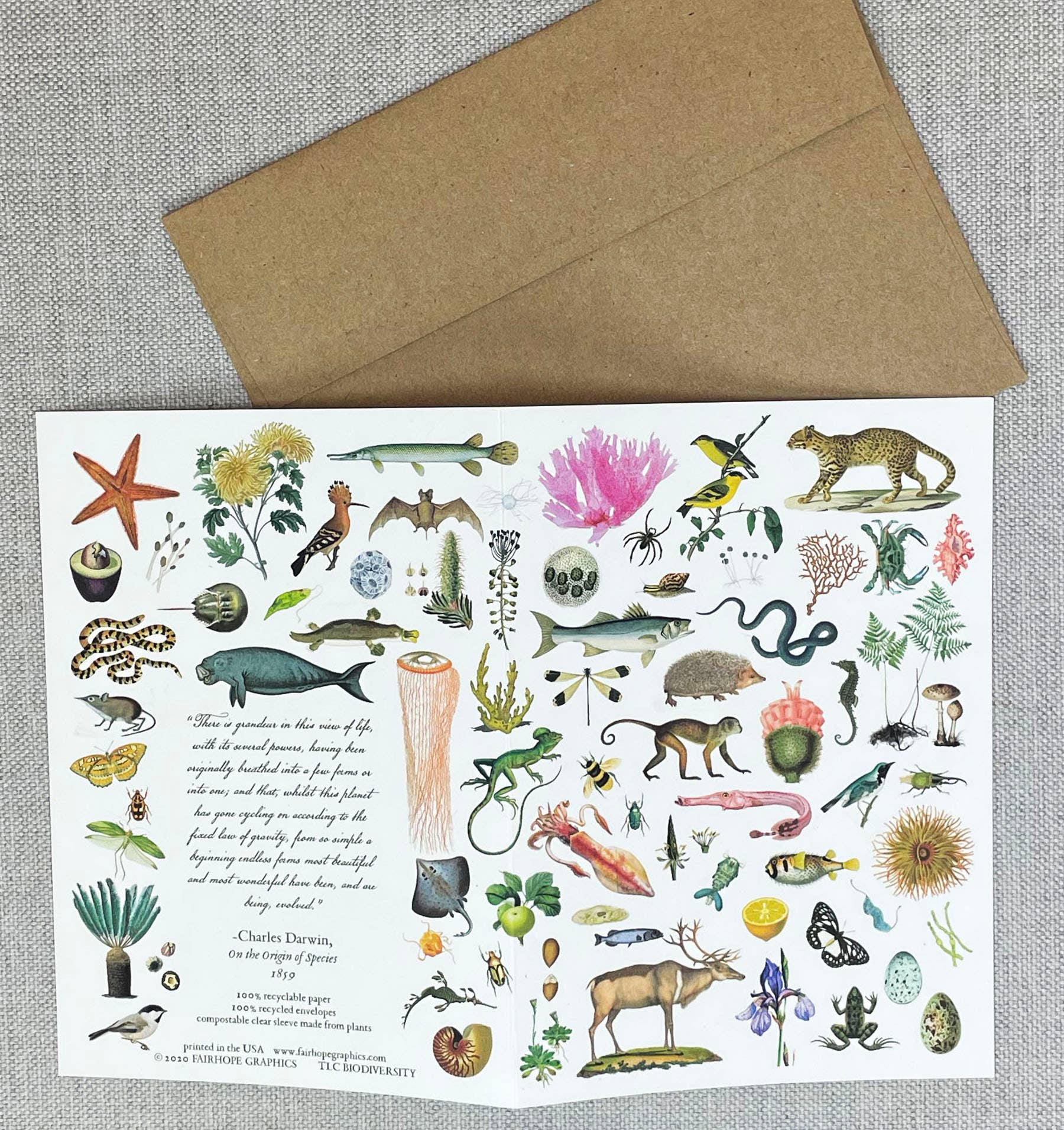 Biodiversity Card