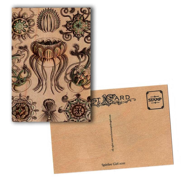 Carte postale en bois | Inspiré de la mer