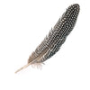 Guinea Feather Brooch Pin