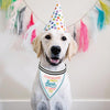 Pet Bandana | It's My Birthday